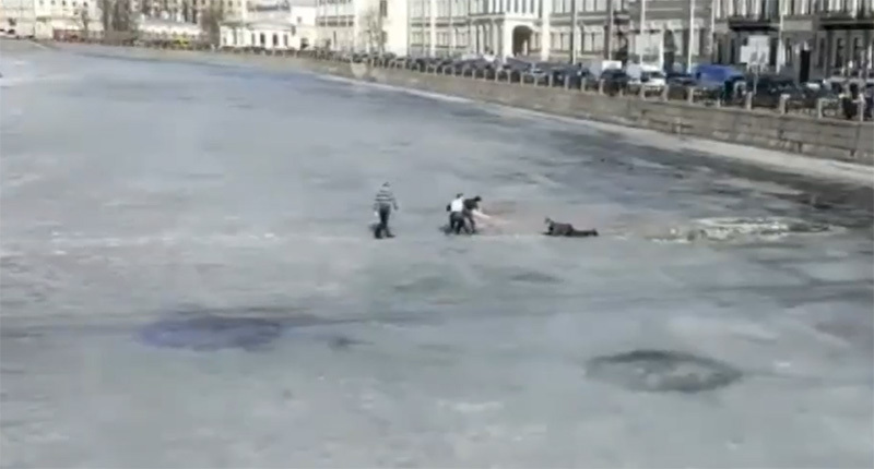 кадр из видео Дарьи Литвиновой//facebook.com